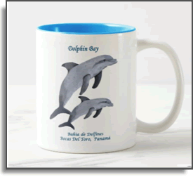 Dolphin Bay II -Island Art Bocas Mug